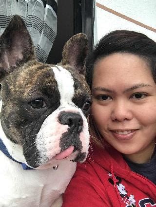 dog in baguio breed|Baguio/Benguet Pet breeders .